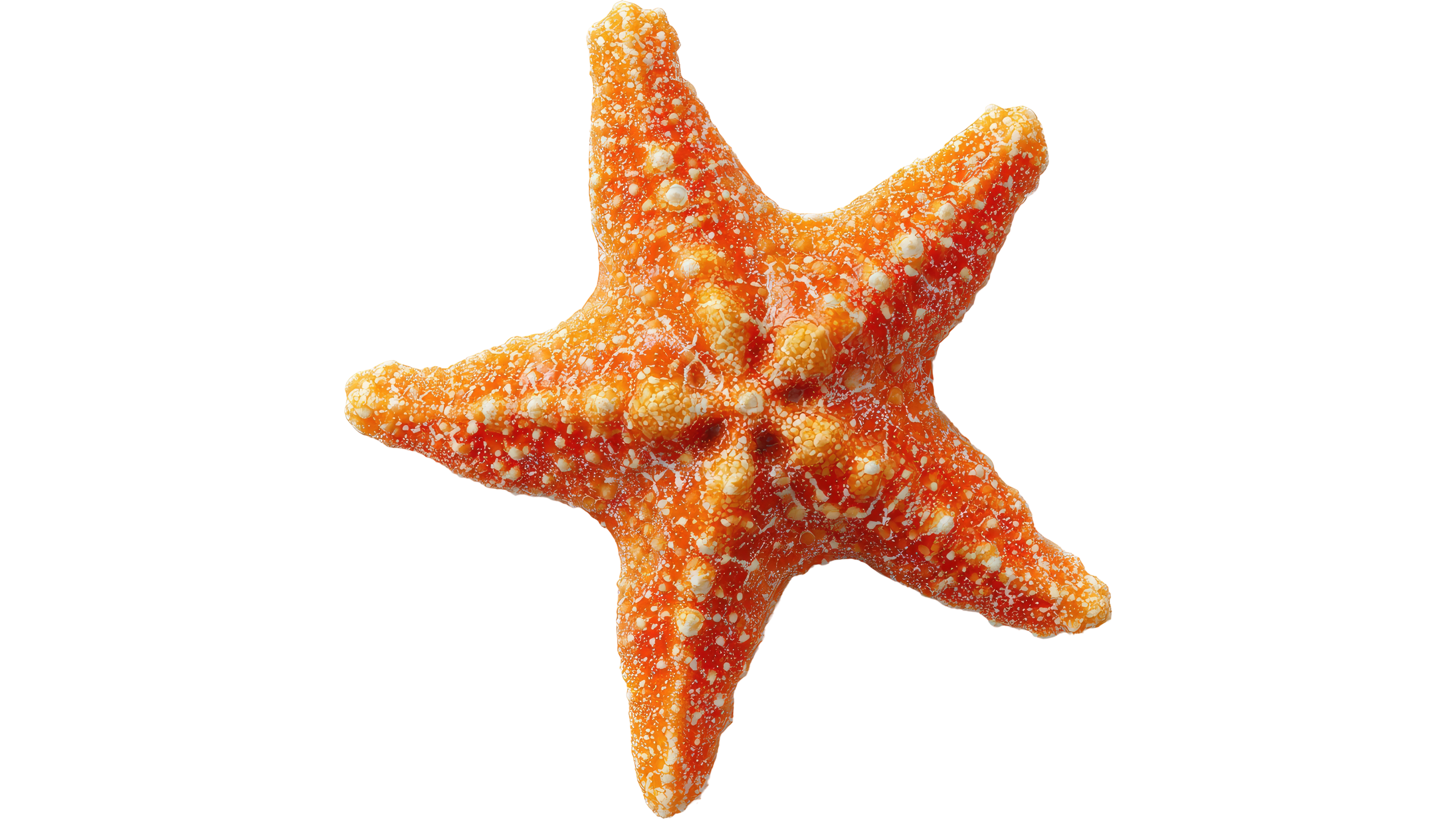Estrella
